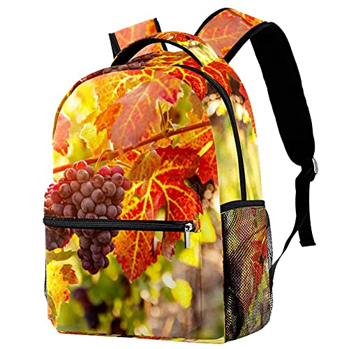 Sac à dos pour homme et femme étoiles dorées multicolore grand compartiment