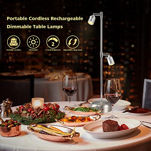 Geelihome Modern Cordless Table Lamp,Led Rechargeable 4000K 2-Levels Brightness Night Light,Stainless Steel, For Bar/Coffee Shop/Office/Bedroom/Living Room/ (Silver) #TOP1