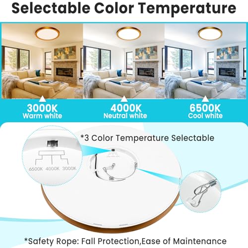 Image of libtit 7 Inch Golden Bronze Flush Mount Ceiling Light, 15W Aureate Ceiling Light Fixture, 3000K /4000K /6500K Color Selectable, Gilded Round Ceiling Lighting for Bedroom Kitchen Pantry