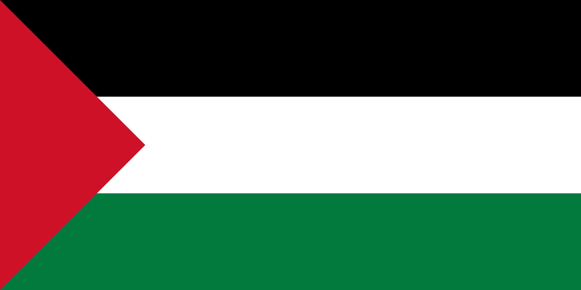 Drapeau XL Palestine triangle short pour mât et manifestation culturelle