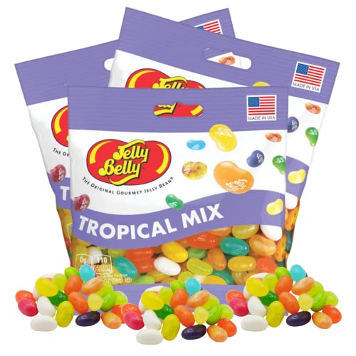 Needzo Jelly Bean Tropical Mix Bulk Shareable Candy, Fruit Flavored Gourmet Chewy Candies for Gift Baskets, Pack of 3, 3.5 Ounce Bag