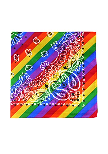 HENBRANDT Rainbow Paisley Print Bandana for Men and Women - Head Covering, Neckerchief, Scarf, Headband, Neck Warmer, Face Cover - Gay Pride LGBTQ Clothes and Accessories