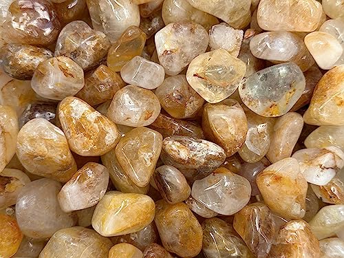 Image of GAF TREASURES 1 /2 LB Golden Healer Quartz Tumbled Stones, Polished Natural Golden Healer Quartz Gemstone, Golden Healer Quartz Healing Crystals (Golden Healer Quartz)