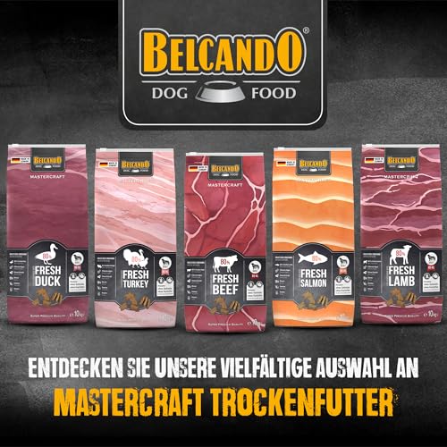 BELCANDO MASTERCRAFT Hundefutter trocken Fresh Salmon, 10kg, Trockenfutter für Hunde mit Lachs, 80% Frischfleisch, getreidefrei, für alle Rassen, Made in Germany