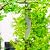 Wind Chimes for Outside, Sympathy Wind Chimes Outdoor Clearance with 12 Aluminum Alloy Tubes and Hook, Memorial Wind Chimes Gift Decoration for Home, Patio, Garden, Outdoor