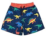 SOLOCOTE Boys Swim Trunks Swim Quick Dry Shorts, SLN6010-Dinosaur-5X