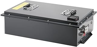 48V Ebike Battery Pack,Deep Cycle Lithium Iron Phosphate Rechargeable Battery,30Ah Electric Bike Lifepo4 Battery,with 5A Charger for 350W~800W Motor