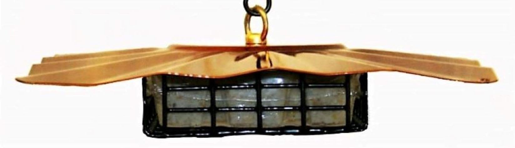 Amazon.com : Erva SUET3S Upside Down Suet Feeder : Suet Bird Feed