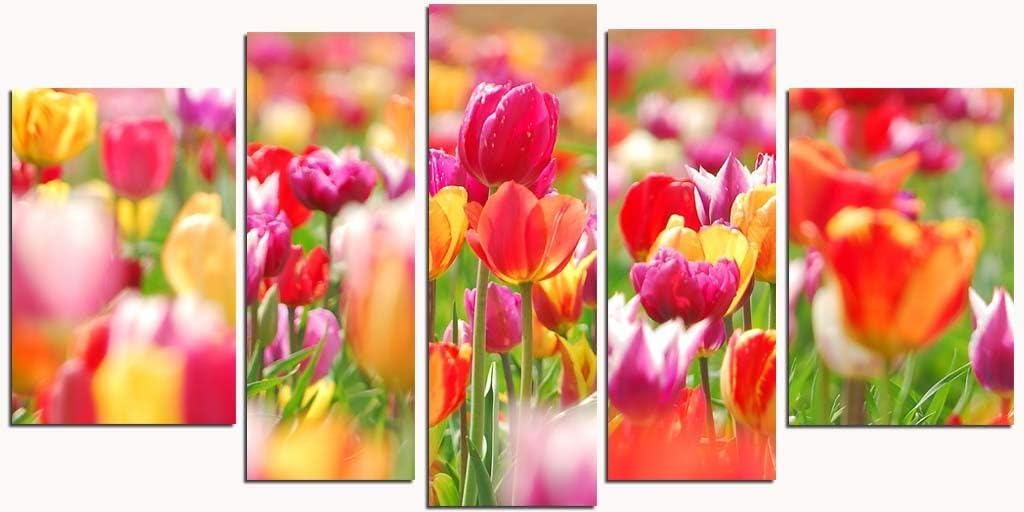 Startonight Glass Wall Art Acrylic Decor Set Colored Tulips