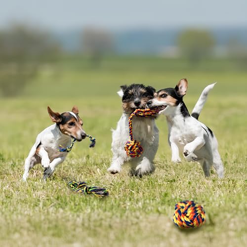 Image of Puppy Teething Toys for Small Dogs, 5 Pack Cotton Puppy Dog Rope Toy | Durable Dog Chew Toys for Aggressive Chewers Small Breed, Interactive Tug of War Puppy Toys to Keep Them Busy