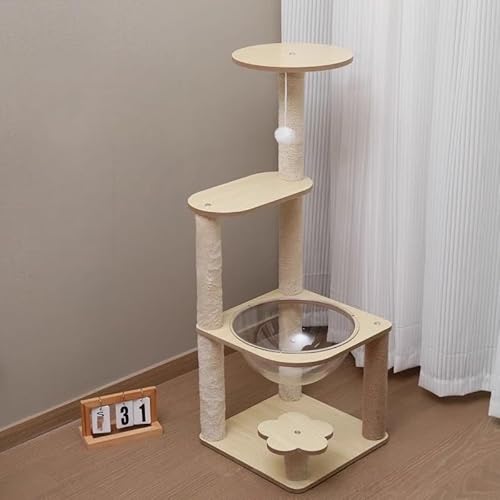 MORLU ؐLbg^[  ^Lp ی^x[X I  X ē~p ȃXy[X v W]t {E TCU ȃ[v XgX B 芴 ^  (5wt[XnNC~Ot[)