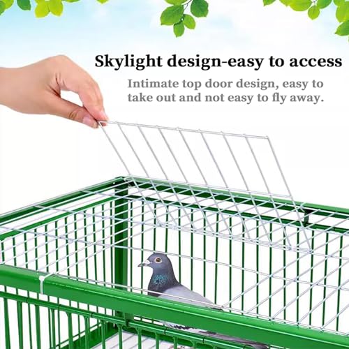 Trampa para palomas y palomas, solución eficaz para la cría y la ventana para el control de aves