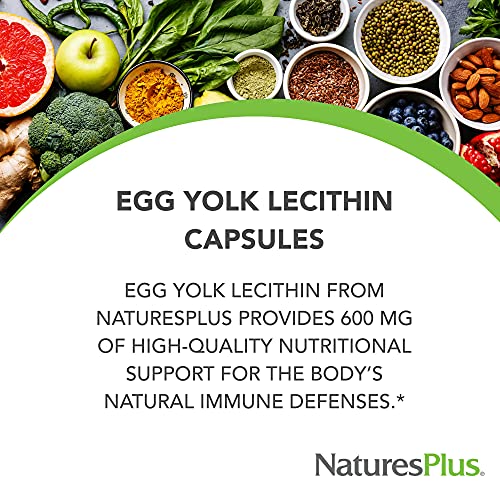 NaturesPlus Egg Yolk Lecithin Capsules