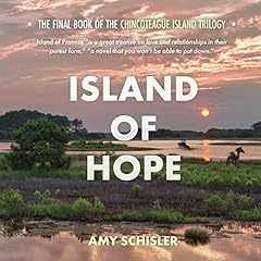 Island of Hope Audiolibro Por Amy Schisler arte de portada