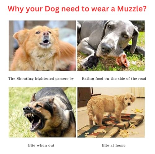 Generic DOES NOT Premium And Soft Leather Dog Muzzle thumb #3