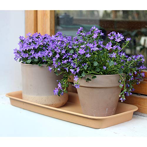 BangQiao 14.60 Inch Plastic Rectangular Planter Pot Saucer Tray for Indoor and Outdoor Plants,Pack of 3,Terracotta - Thumbnail 6