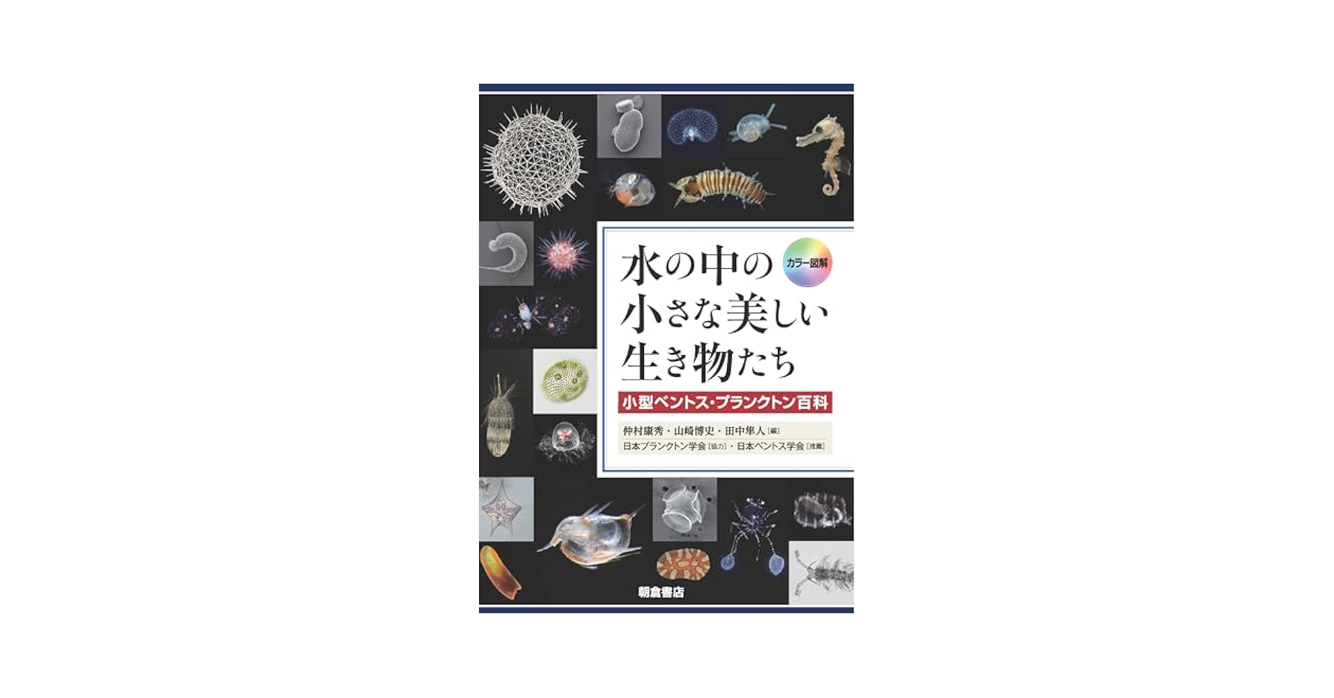 カラー図解 水の中の小さな美しい生き物たち: 小型ベントス