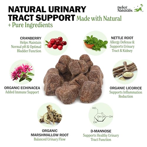 Deley Naturals Dog UTI Prevention Chews - Cranberry Supplement for Dogs for Incontinence, Bladder & Immune System Support - Dog Vitamins and Supplements with D-Mannose & Echinacea - Made in The USA - Image 3