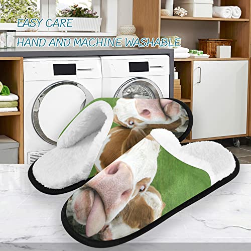 visesunny Funny Cow Sticking Out Its Tongue Cozy Fuzzy Mens Womens Memory Foam House Slippers Plush Fleece Indoor Outdoor Slipper3