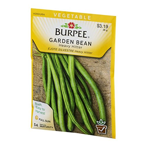 Burpee Garden Bean Heavy Hitter Everything Else