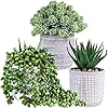 Set of 3 assorted small potted succulent plants fake aloe string of pearls hops succulents in gray geometric concrete ceramic pots for gifts modern home office desk table indoor outdoor greenery decor  urban country home decor