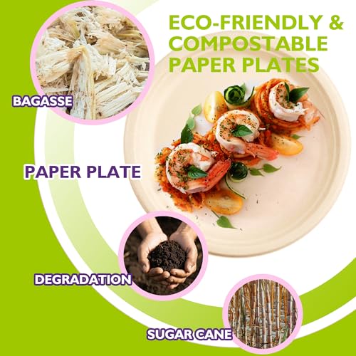 image for PACKINNO 9 Inch 125 Pack Compostable Paper Plates, Biodegradable Heavy