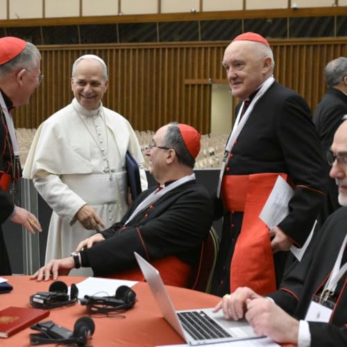 Consistoire : "En convoquant r&eacute;guli&egrave;rement les cardinaux, le pape retrouve de la coll&eacute;gialit&eacute;"