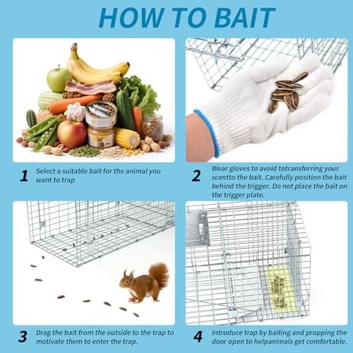 Sumkat 31×12×13 Inch Heavy-Duty Live Animal Cage Trap - Humane Catch & Release for Raccoons, Cats, Squirrels, Rabbits, Groundhogs - Safe & Durable Steel Construction with Secure Door Lock