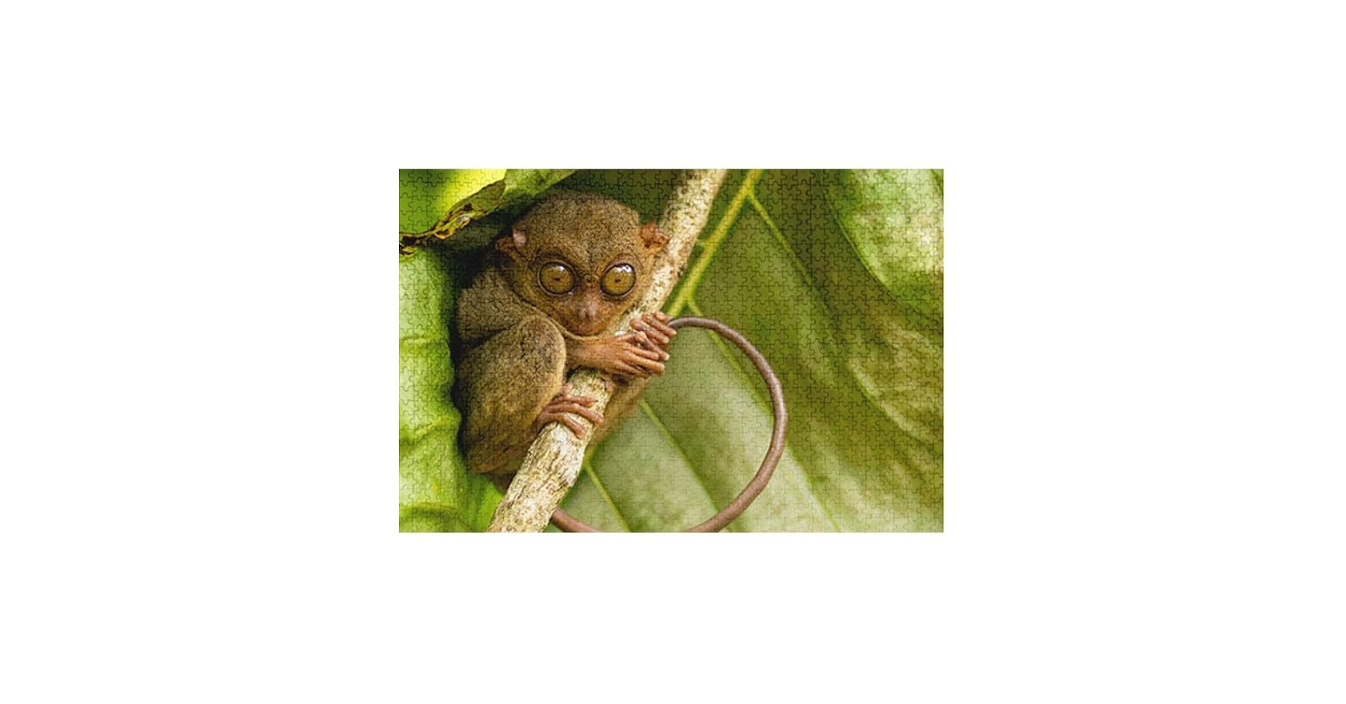 月と五猿　1000ピースジグソーパズル　新品未開封 未開封 ジグソーパズル 1000ピース 開運 大難猿 -去る- ビバリー