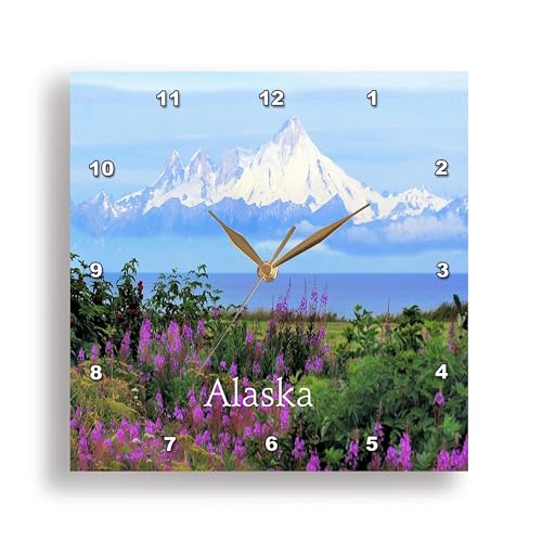 Reloj de Pared 3dRose 13 pulg Silencioso Floral miniatura 1