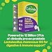 Culturelle Pro Strength Daily Probiotics For Digestive Health (2 Month Supply) with Prebiotics for Women & Men, Supports Occasional Diarrhea, Gas & Bloating, Gluten & Soy Free, 60 Count