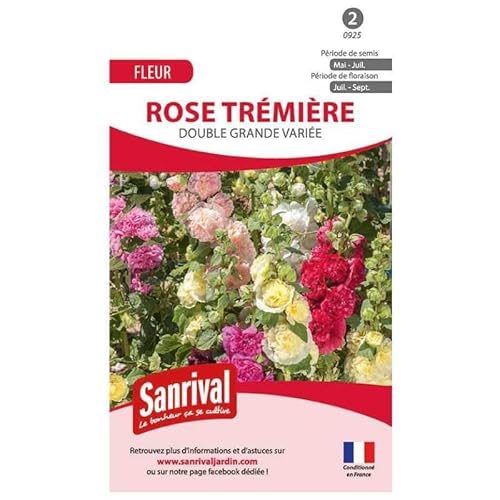Graines de Rose Trémière