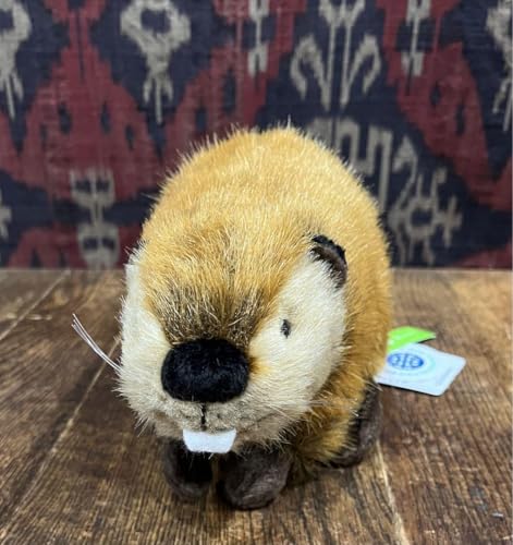SUPER BEAVER ビーバー ぬいぐるみ 続々とSUPER BEAVER様とのコラボ『スーパービーバーちゃん』が皆様のお