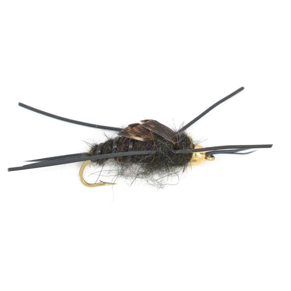 The Fly Fishing Place Bead Head Nymph Fly Fishing Flies - Kaufmann's Black Stone Fly with Rubber Legs - Stonefly Wet Fly - 6 Flies Hook Size 10