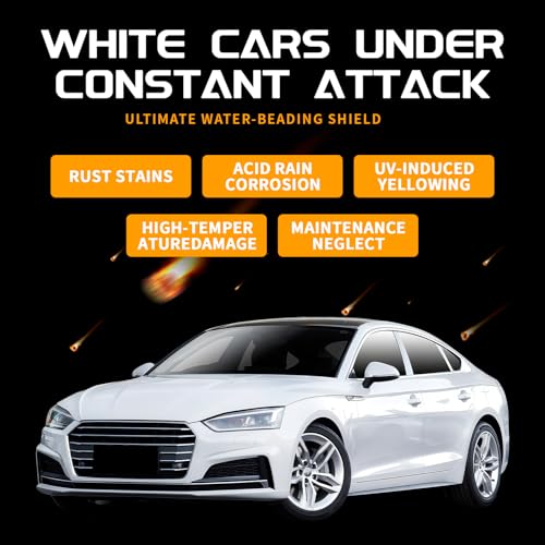 WEICA Car Wax for Silver Cars
