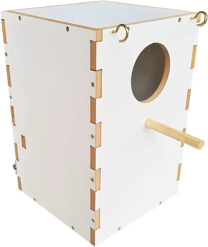 Ninho calopsita periquito agaporne red rumped periquito - Vertical