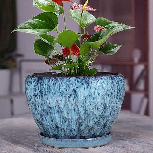 Pot de fleurs d'intérieur de style chinois vert en céramique extra large Chlorophytum Pot de fleurs d'intérieur décoratif pour jardin Bonsaï pour orchidée aloe
