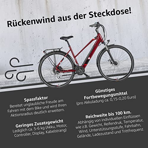 E-Bike Damen Telefunken Elektrofahrrad Aluminium 28 Zoll mit 24-Gang