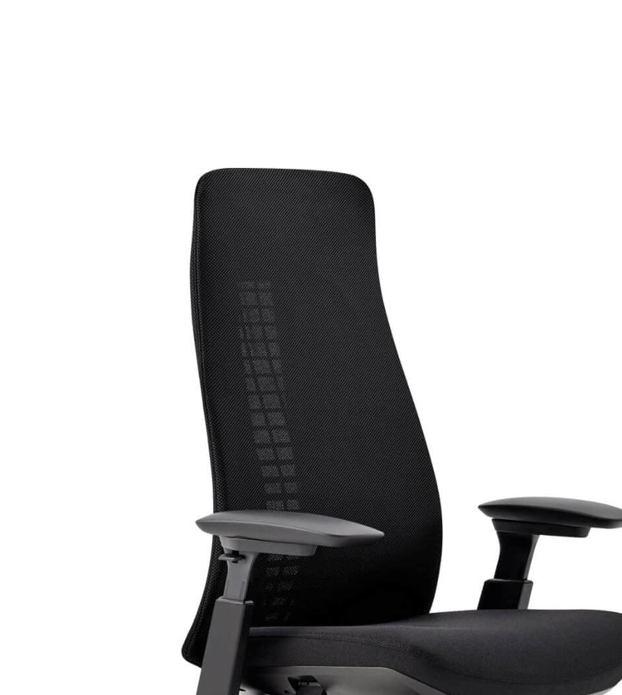 Amazon.com: Haworth Fern Ergonomic Office Chair Without Lumbar