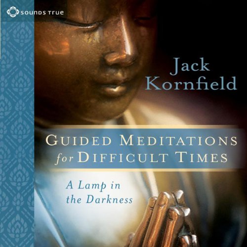 Cover art for Guided Meditations for Difficult Times