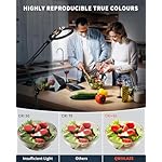 10" Ring Light Tripod for iPhone Overhead Phone Mount Holder, Flexible Ring Light with Stand - LED CRI >95 & Adjustable 70" Height, Phone Stand for Recording Video Camera Selfie Vlog TikTok YouTube - Image 5