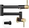 Heyalan Pot Filler 19 Inch Wall Mount Foldable Stretch Kitchen Restaurant Stainless Steel Pot Filler Double Joint Swivel Arm Two Handles Commercial NPT Straight Handle Black and