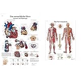 Produkt 1: Praktisches Posterformat (50x67 cm)