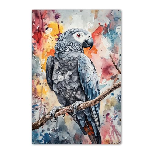 Parrot African Grey Pictures Wall Decor - Colorful Parrot African Grey Poster Wall Art for Office - Teen Room Decor Ready to Hang 188HD790
