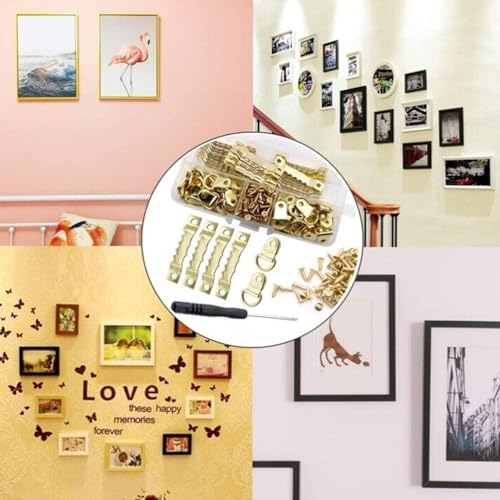 Image of Picture Hangers, 251pcs Heavy Duty Metal Wall Picture Hangers Assortment, Wall Hangers, Picture Hanging Hooks, Frame Hanging Hardware for Artwork Posters Paintings Clock