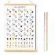 Yoosso ABC Poster Für Kinder, 40 X 60cm Alphabet Poster Lernposter Grundschrift Buchstaben Zahlen Lernen Für Kindergarten Grundschule Vorschule Einschulung Geschenke