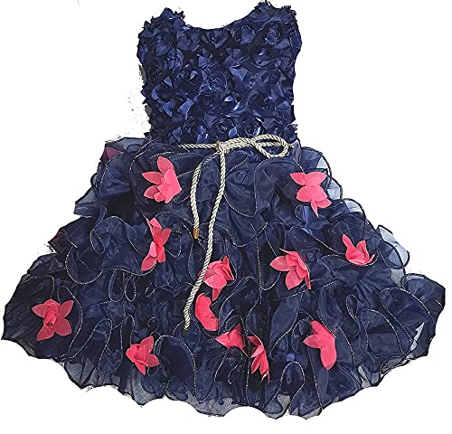 Image of Fit & Flare Net Fabric Frock Dress Frocks for Baby Girls