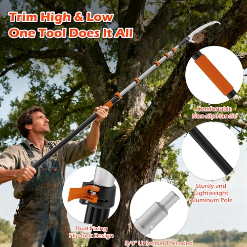 30FT Manual Pole Saw