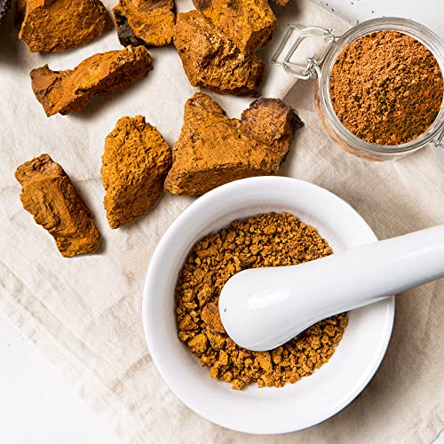 Ondamgo Chaga Mushrooms Powder 7.05 Ounces For Chaga Tea, Coffee, Any Salad And Food - Vegan Friendly Superfood (Chaga Mushrooms Powder) #TOP3