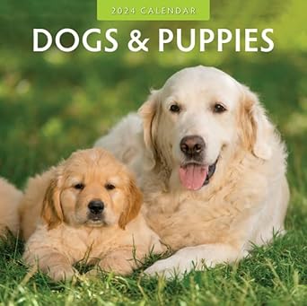 White Shepherd 2026 Calendar | Dog Breed Gift